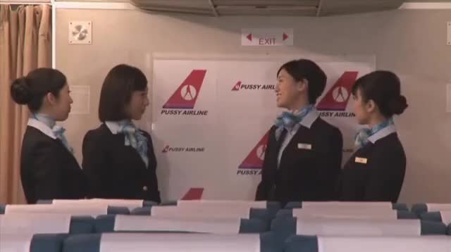 japanese airlinee