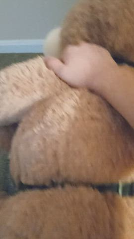 bear sex toy gif