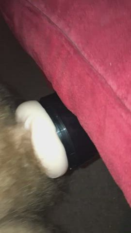 deep fucking my fleshlight