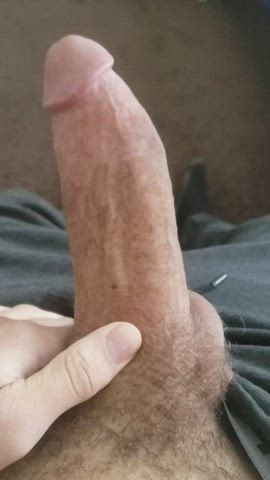 would you suck it?