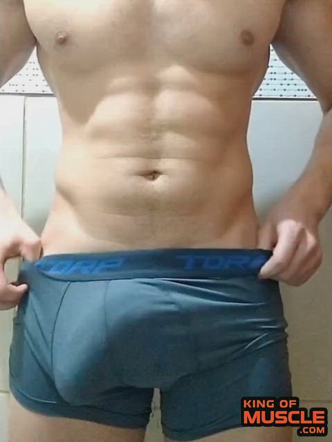 Pecs and bulge