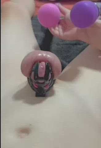 chastity cumshot femdom hands free tease gif