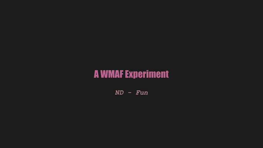 A wmaf experiment - ND - Fun (splitscreen PMV)
