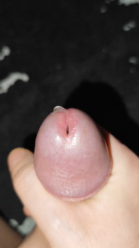 cock homemade male masturbation masturbating precum solo gif