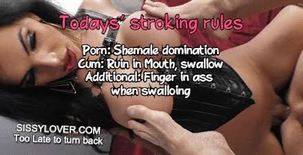 Sissy Jerking off rule