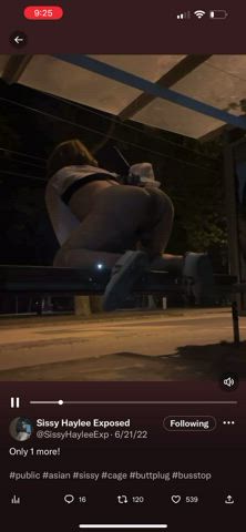 Asian Public Sissy Slut - Bus Stop Butt Plug