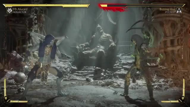 MK11 - Brutality Victory