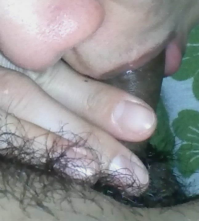 Asian Blowjob Sucking Wife gif