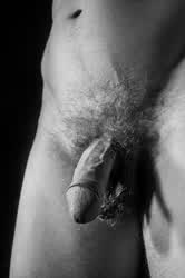 Cock Erection Male Masturbation gif