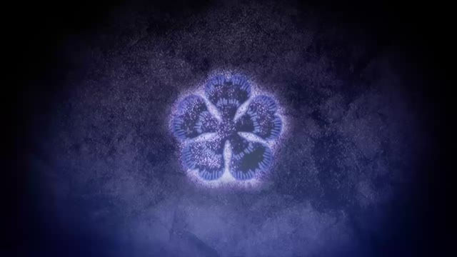 Black Clover - S1 E63 W3