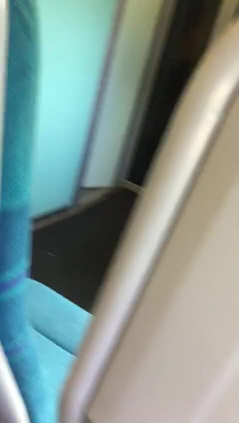 Tits on a Train [GIF]