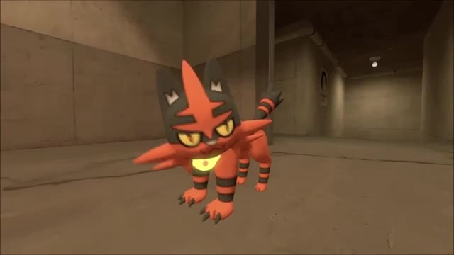 Torracat Fart