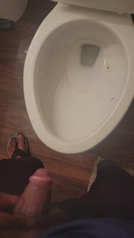 bbc peeing toilet gif