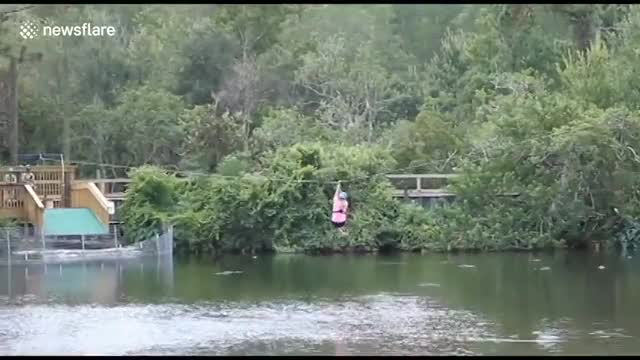 Alligator Leaps Out Of The Water Trying To Bite Woman On Zipline