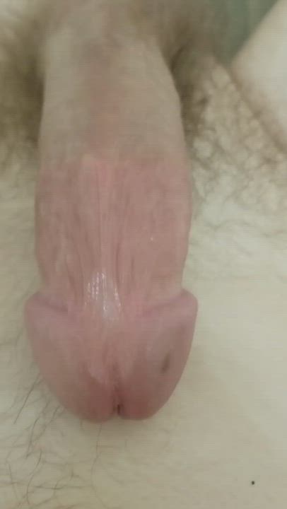 Big Dick Male Masturbation Precum Solo gif