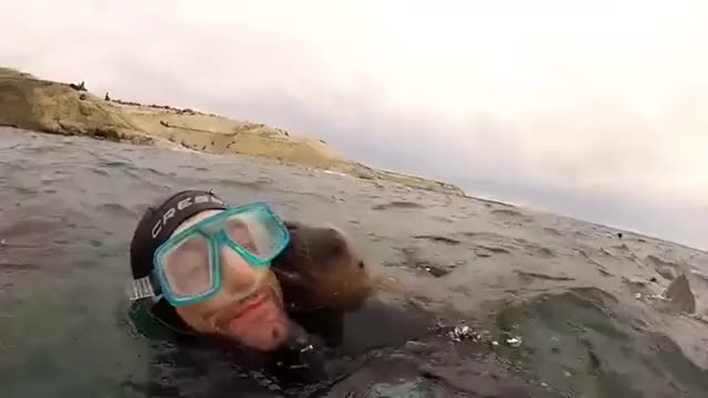 Sea puppy kisses and one for you too!