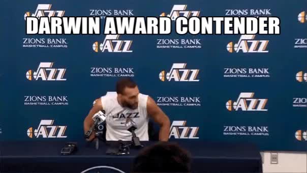 Rudy Gobert