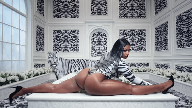 big ass ebony megan thee stallion gif