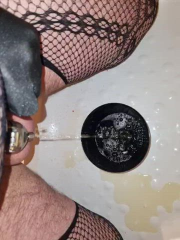 chastity piss sissy gif