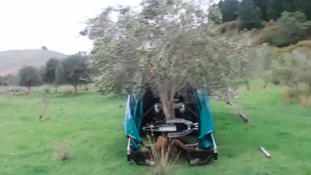 Olive Harvester