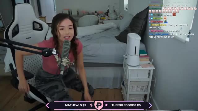 Pokimane Thicc DESTROY D CK DECEMBER CHALLENGE PT1