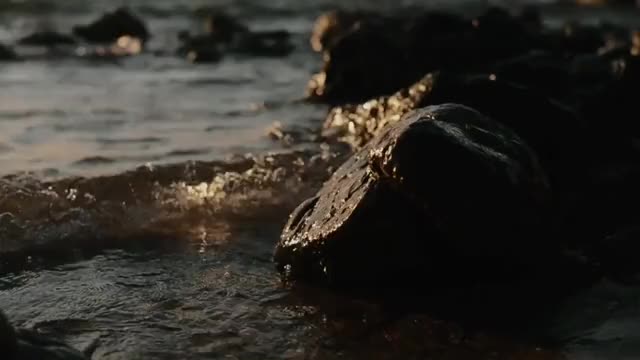 Beach Beauty