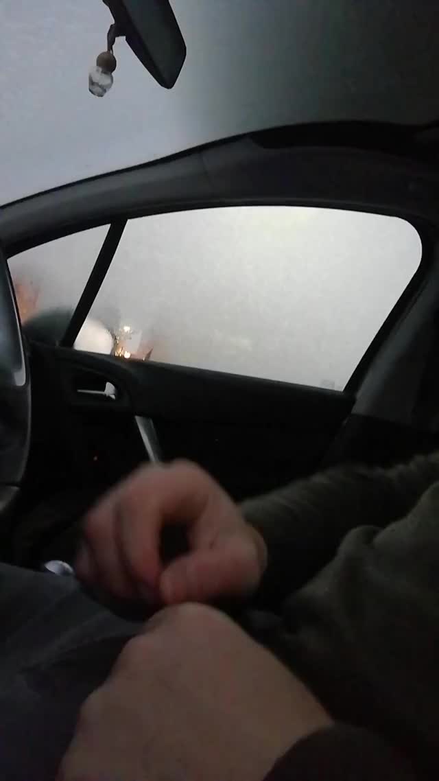 Car window down, uncut cock out