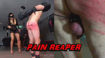 Mistress Pain Whipping gif