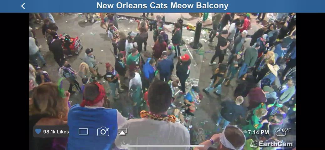 Booty MILF Mardi Gras gif