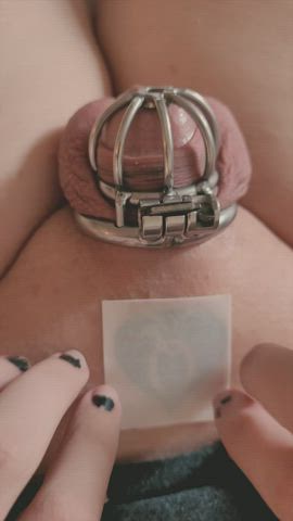 bbc chastity cuckold gif