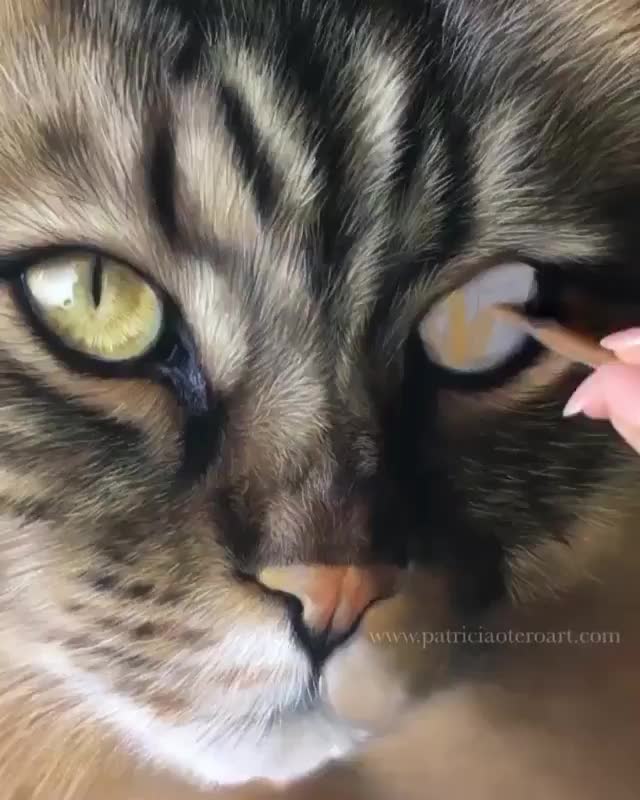 cat painting