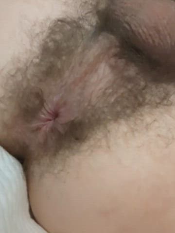 asshole exposed gay pussy teen gif