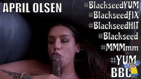 april olsen bbc blowjob brunette cum in mouth cumshot facial interracial white girl