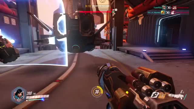 Overwatch - Pharah Flyswatter