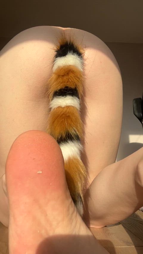 Give me something bigger than this plug in me 😏 [Fox Tail Plug]