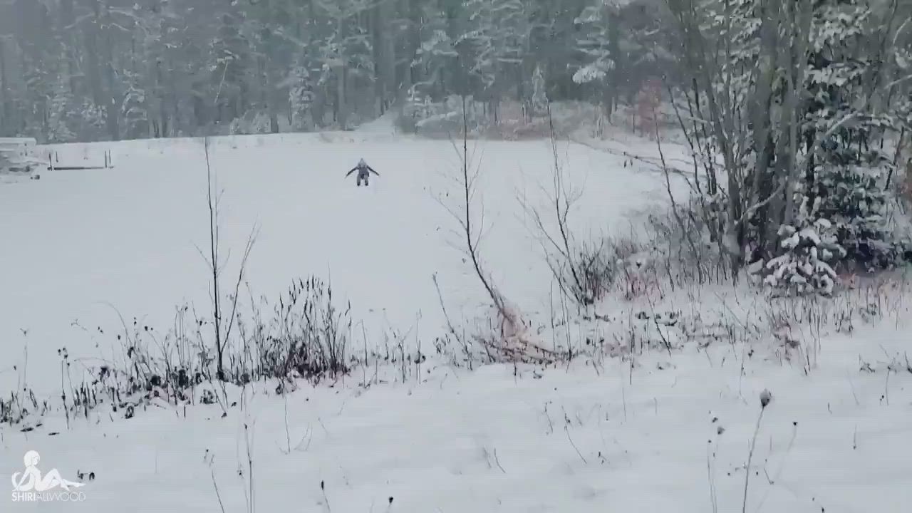 Nude joy in the snow (Shiri Allwood)