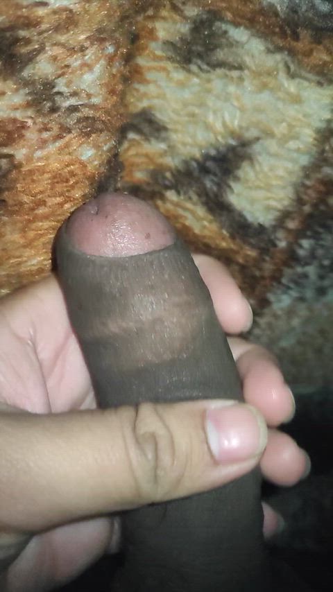 asian asian cock big dick cock indian indian cock pov tease uncut gif