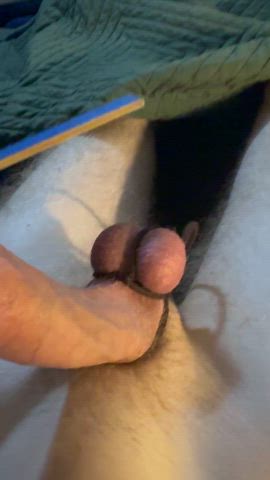 big dick cbt femdom sissy-training gif