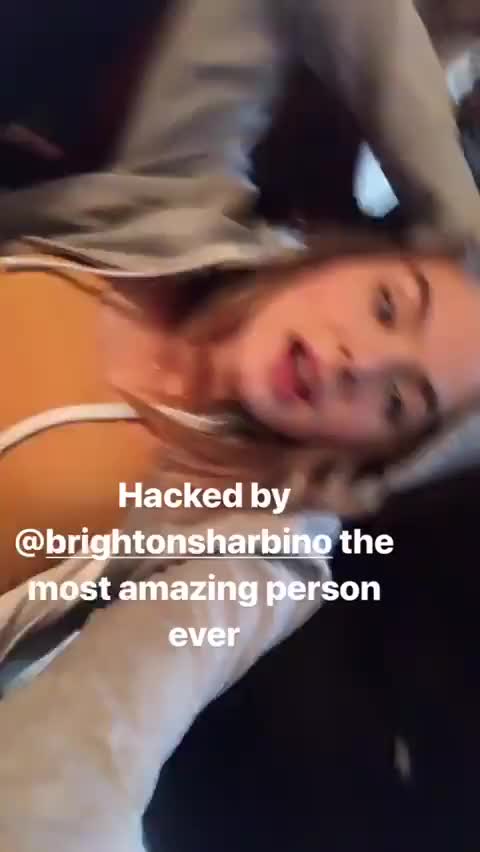 Brighton Sharbino