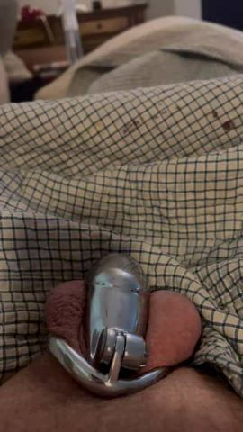 chastity pain sissy gif