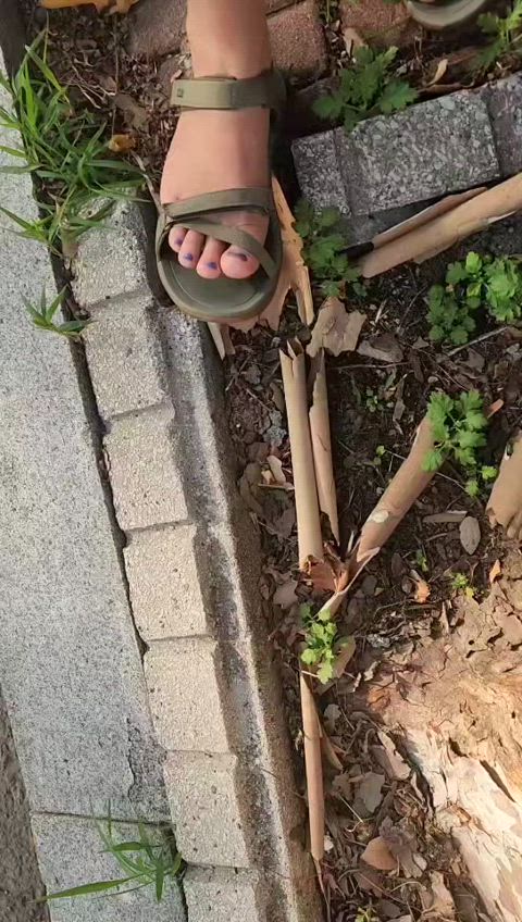 crush feet fetish sandals gif