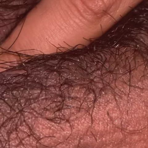 Hairy Pussy Masturbating Pussy gif