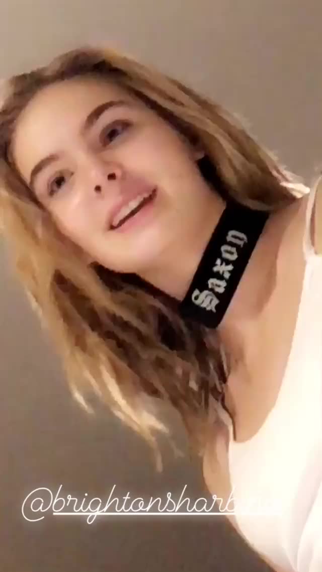 Brighton Sharbino