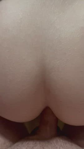 Amateur Bareback Doggystyle Homemade Swedish gif