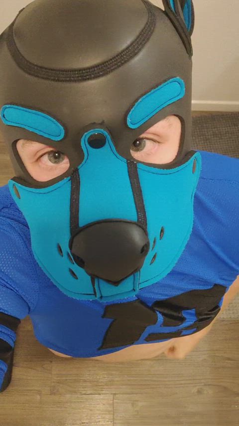 gay petplay puppy gif