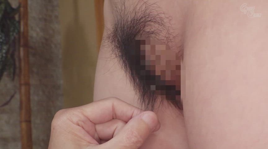 hairy pussy jav old gif