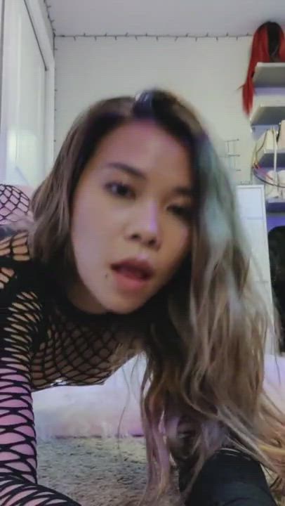 Asian Big Ass Fetish POV Petite Small Tits Stockings gif