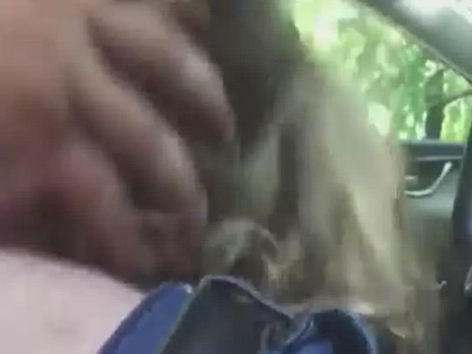 Amateur Blowjob Car Sex College Deepthroat gif