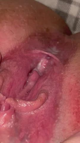 Creamy Pussy Wet Pussy gif