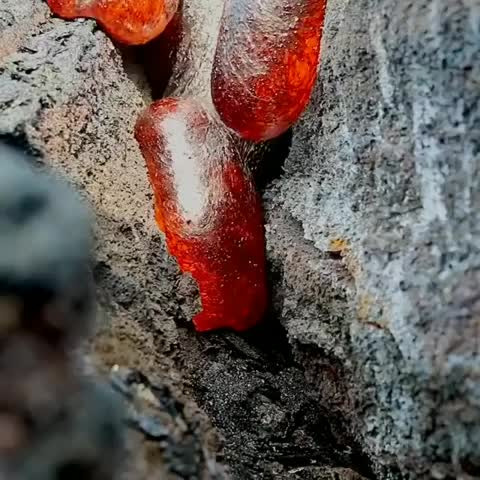 ripsave - Lava flowing to fill cracks